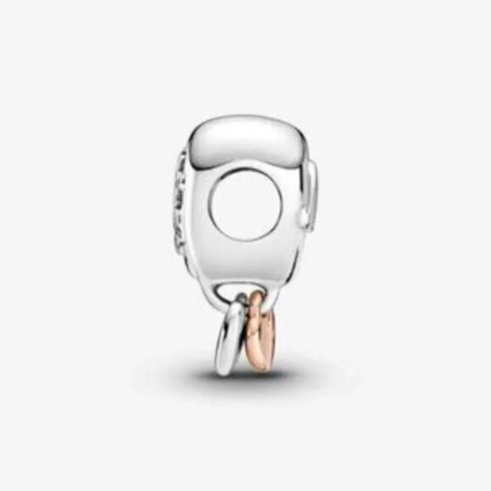 Pandora charms